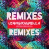 Usangikhumbula (Remixes) - EP, 2014