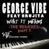What It Means - The Remixes, Pt. 1 (feat. Brujita) album lyrics, reviews, download
