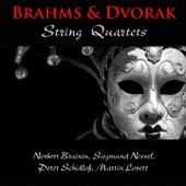 String Quartet No. 3 in B-Flat Major, Op. 67: IV. Poco allegretto con variazioni artwork