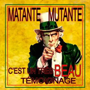 Album herunterladen Download Matante Mutante - Cest Un Tres Beau Témoignage album
