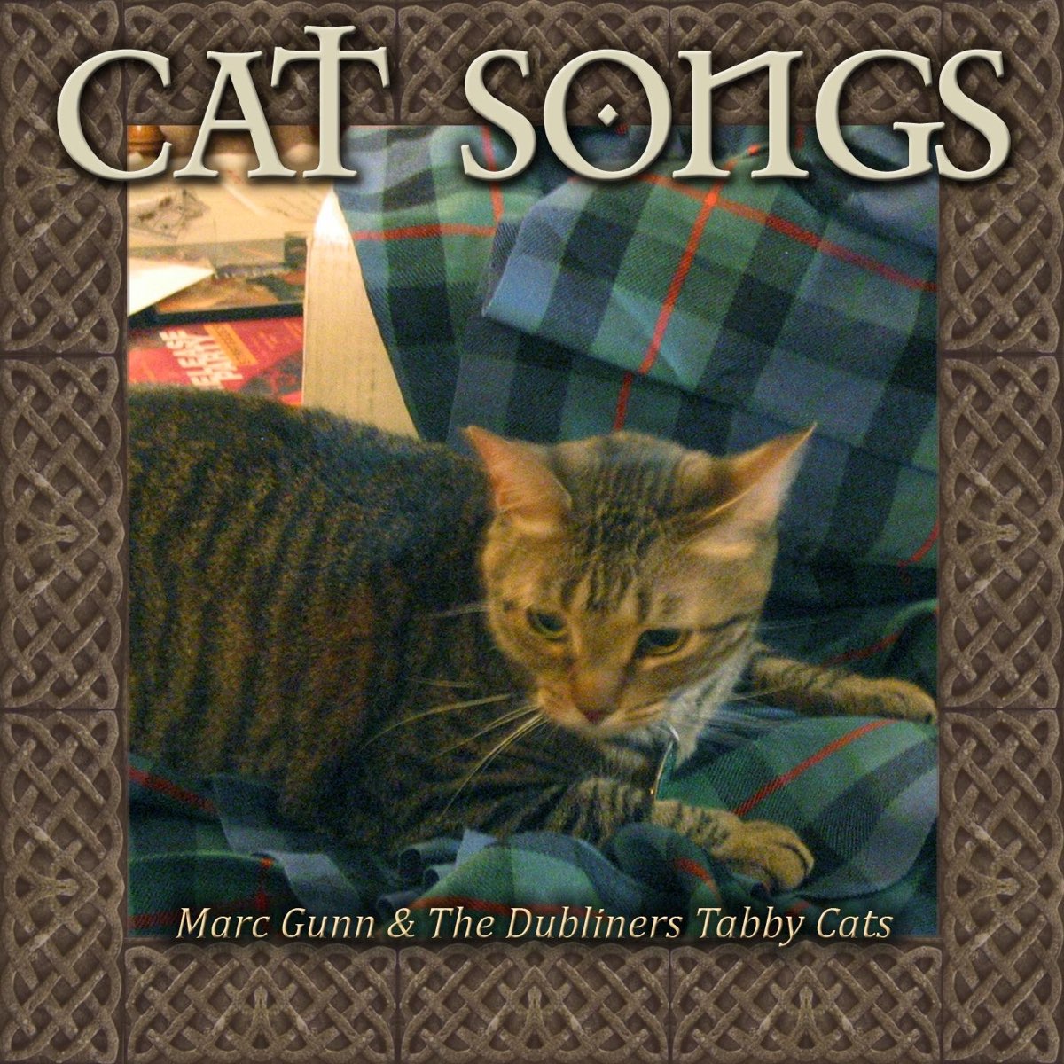 Кэтс песня. Песня Cats. Cat Kitty Cat песня. Кошки табби купить. Download a Song Cat.