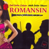 Deli Selim Çalıyor Akıllı Selim Okuyor (Romansın) artwork