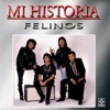 Felinos - Mi Historia