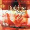 Building Bridges album lyrics, reviews, download