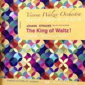Johann Strauss: Selected Works, Vol.8 (The King of Waltz!) artwork