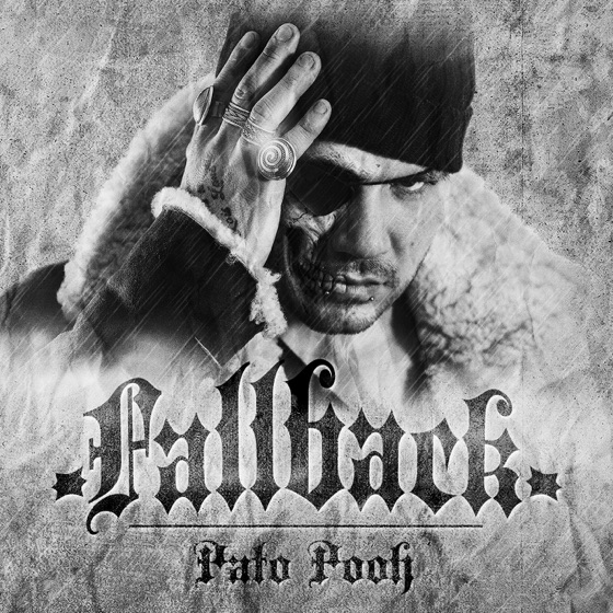 Cover artwork for Fallback