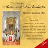 Die schönsten Messe - und Kirchenlieder artwork