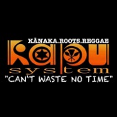 Canʻt Waste No Time artwork