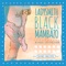 Rain, Rain Beautiful Rain - Ladysmith Black Mambazo lyrics