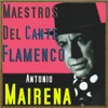 Maestros del Cante Flamenco