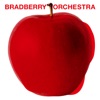 BRADBERRY ORCHESTRA