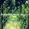 Nature Classic - Grieg: Peer Gynt - Morning Mood