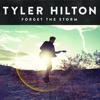 Forget the Storm (Deluxe Version) artwork