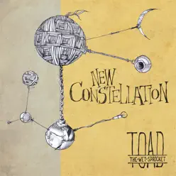 New Constellation - Single - Toad The Wet Sprocket
