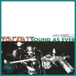 Sound As Ever (Superunreal Edition) - You Am I