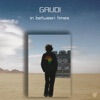 Gaudi - Planet X