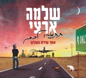 מנגב לך את הדמעות artwork