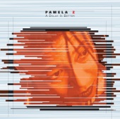 Pamela Z: A Delay Is Better artwork