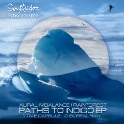 Paths to Indigo - Single by Aural Imbalance & Rainforest album reviews, ratings, credits
