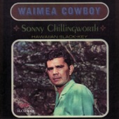 Waimea Cowboy artwork