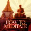 How to Meditate – Mindfulness Meditation, Zen Music, Reiki Healing, Mantras, Harmony & Serenity, Calming Sounds for Peace of Mind, Yoga Music album lyrics, reviews, download