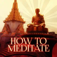 How to Meditate – Mindfulness Meditation, Zen Music, Reiki Healing, Mantras, Harmony & Serenity, Calming Sounds for Peace of Mind, Yoga Music by Buddhist Meditation Music Set album reviews, ratings, credits