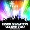 Disco Sensation - Volume Two