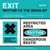 Rhythm to the Brain - Single album lyrics, reviews, download