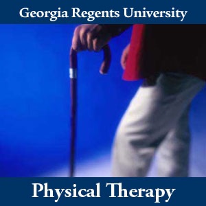 Physical Therapy cover