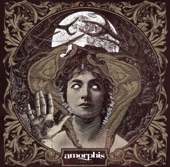 Amorphis - Narrow Path