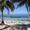 Don Middlebrook - Beach Life