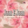 Naveed Arshad - Watan