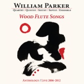 Wood Flute Songs: Anthology / Live 2006-2012 artwork