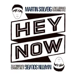 Hey Now (feat. Kyle) [REMIXES] - Single - Martin Solveig
