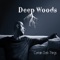Just Before the War With the Eskimos - Deep Woods lyrics