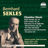Sekles: Chamber Music artwork