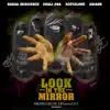 Look In the Mirror (feat. Chali 2na, Aceyalone, Rakaa Iriscience & Ariano) song lyrics