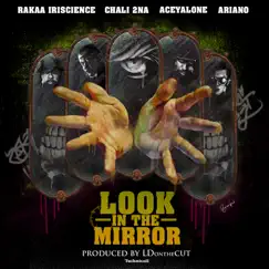 Look In the Mirror (feat. Chali 2na, Aceyalone, Rakaa Iriscience & Ariano) Song Lyrics
