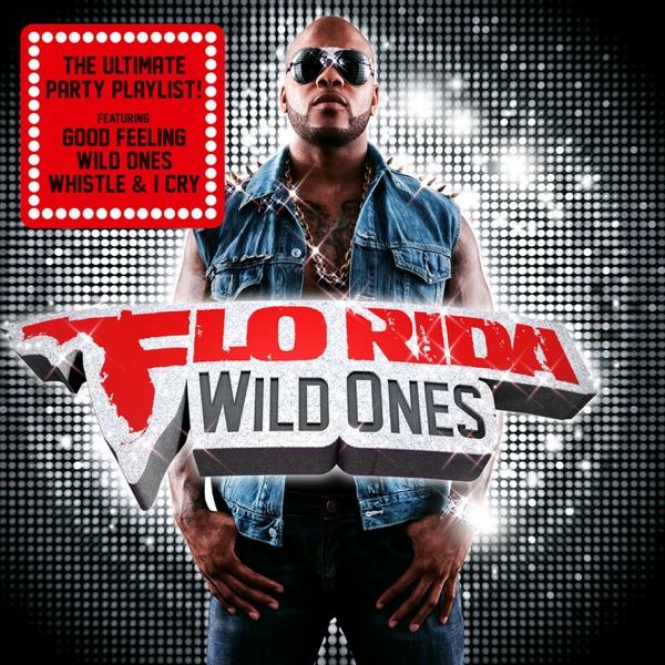 Flo Rida Feat. Sia - Wild Ones