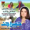 Jay Naen Nibhawrin Sada Dil Wila De, Vol. 6 album lyrics, reviews, download