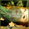 Beautiful Things, Vol. 3 - A Collection Of Lounge & Chill Out Grooves