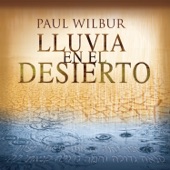 Lluvia en el Desierto artwork