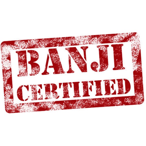 Cover artwork for Banji