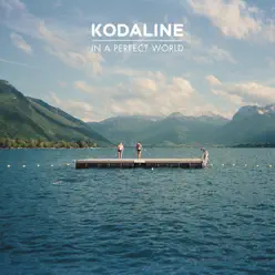 In a Perfect World (Deluxe) - Kodaline
