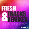 Fresh Tracks and Remixes - The Elite Selection 2013, Vol. 5 - EP