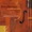 Boccherini - String Quintet in E major G 281