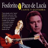 Cante y Guitarra artwork