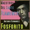 Maestros del Cante Flamenco