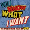 You Know What I Want - Single
