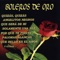 Dani Bossa (Bolero Version) - Daniel Cardozo lyrics